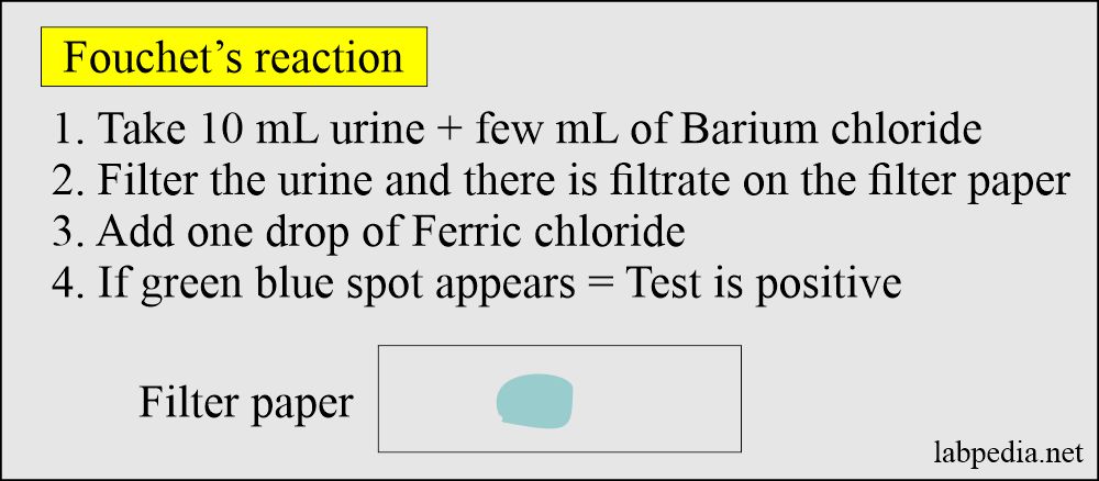 Fouchet's reaction for bilirubin in the urine