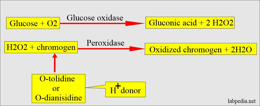 Stool Examination Part 4 Reducing Substances Breath Test And Lactose Intolerance Labpedia 