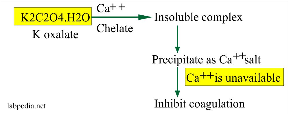 Coagulation – part 2 – Coagulation Screening, Work up of Bleeding Disorder