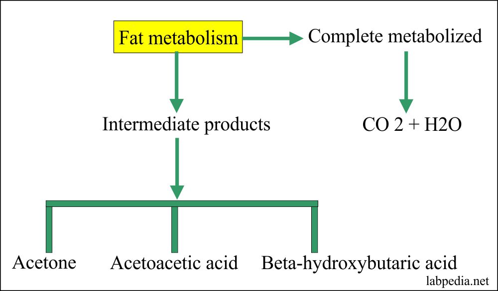 Ketoacidosis diagnosis, Diabetic Ketoacidosis – Labpedia.net