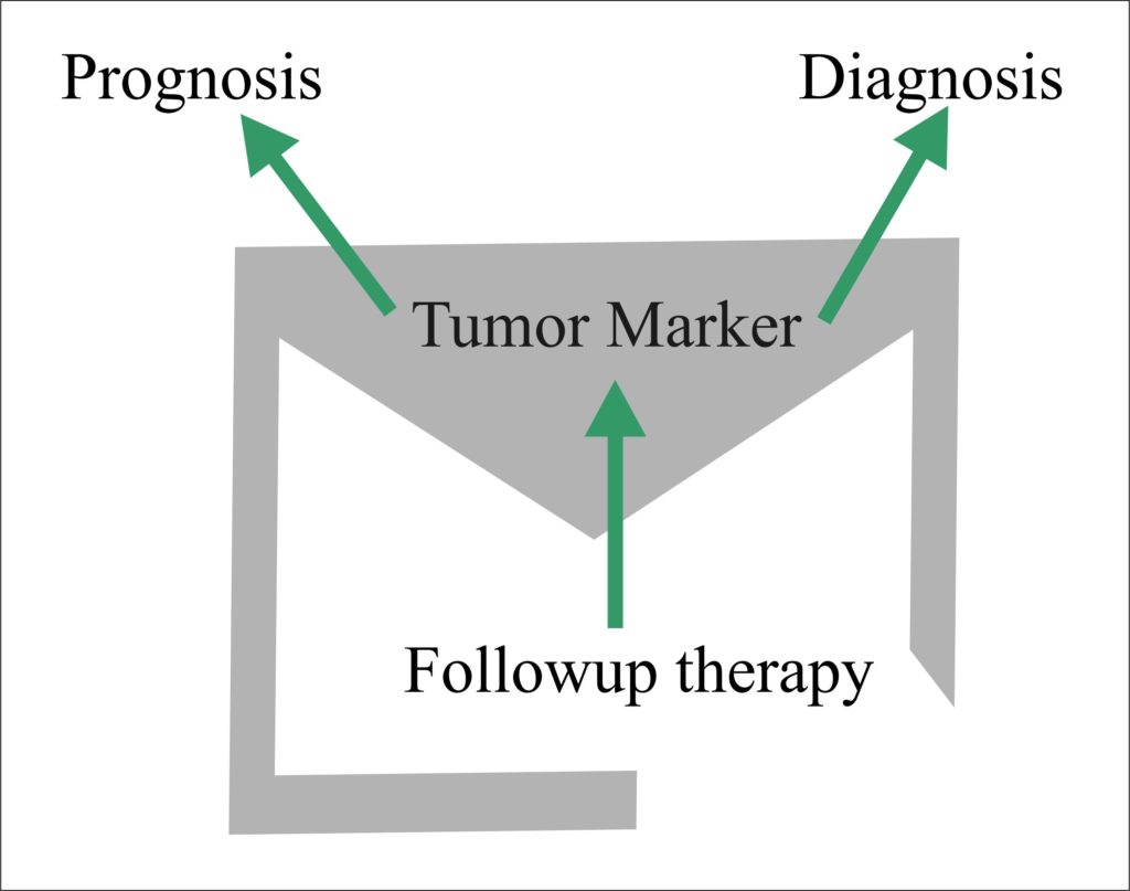 Tumor Marker – Part 4 – CA-Antigens, CA 15-3, CA 549, CA 27.29, CA 125, CA 19-9, CA 72-4