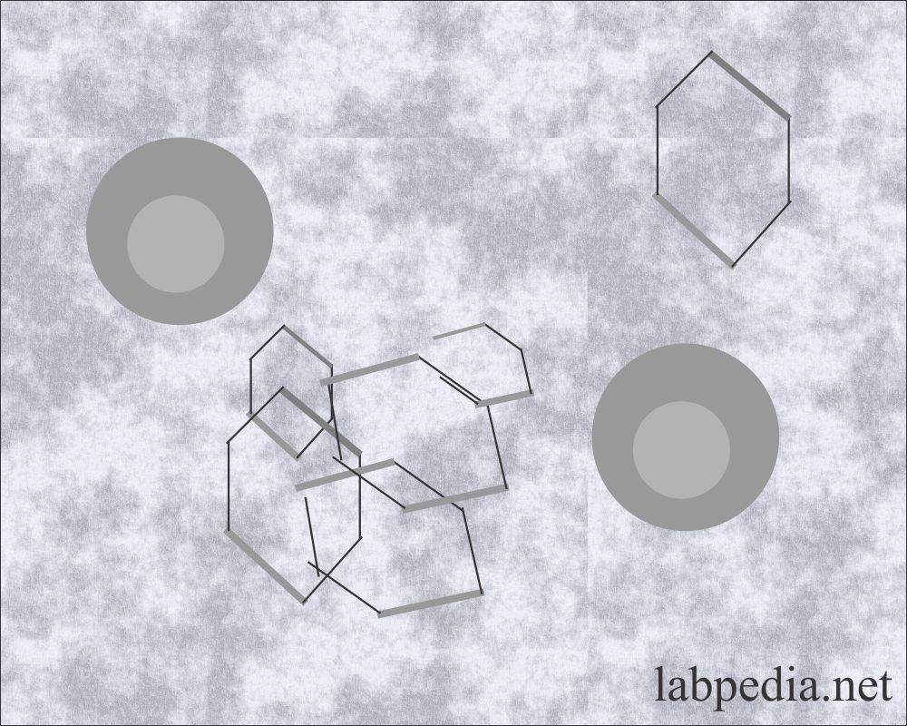 Urine Analysis part 8 Urine Crystals (Crystalluria)
