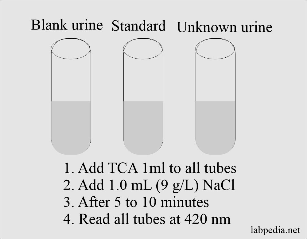 Urine TCA procedure