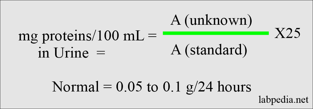 Urine TCA protein calculation