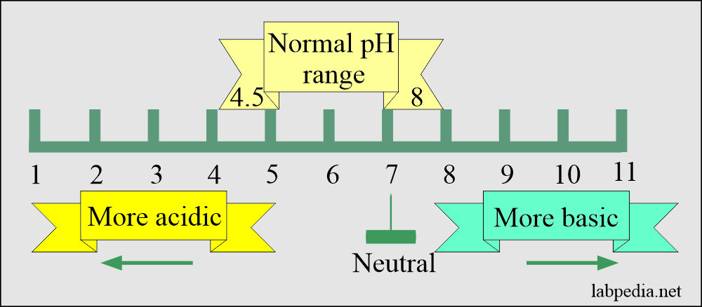 Urine analysis pH normal range