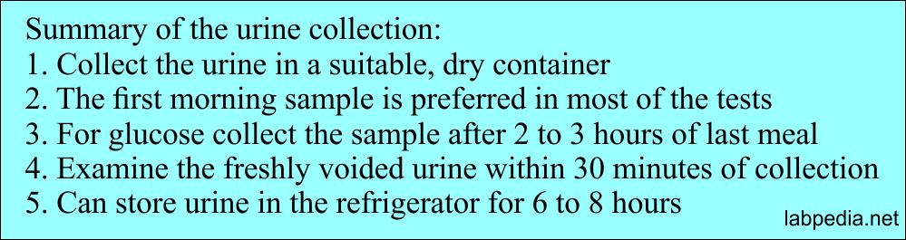Urine collection summary