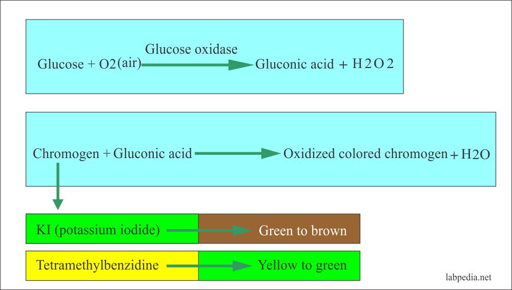 Urine Analysis Part 5 Urine Analysis, Chemical Examination and