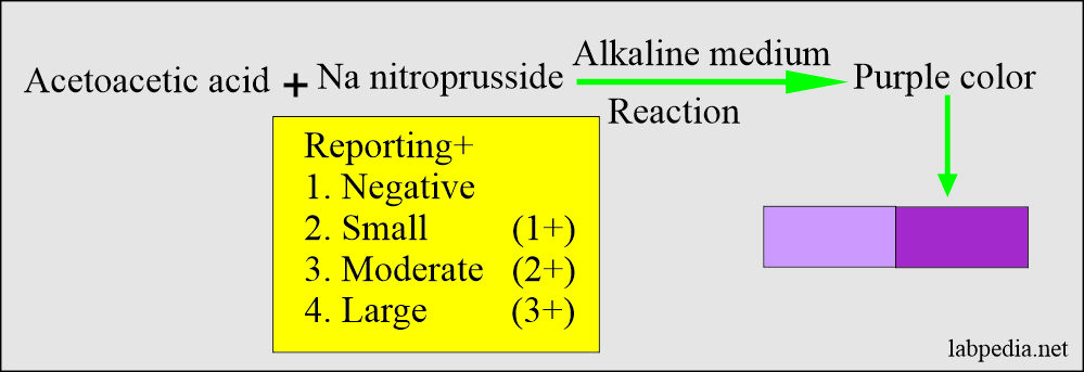 Urine ketone test principle 