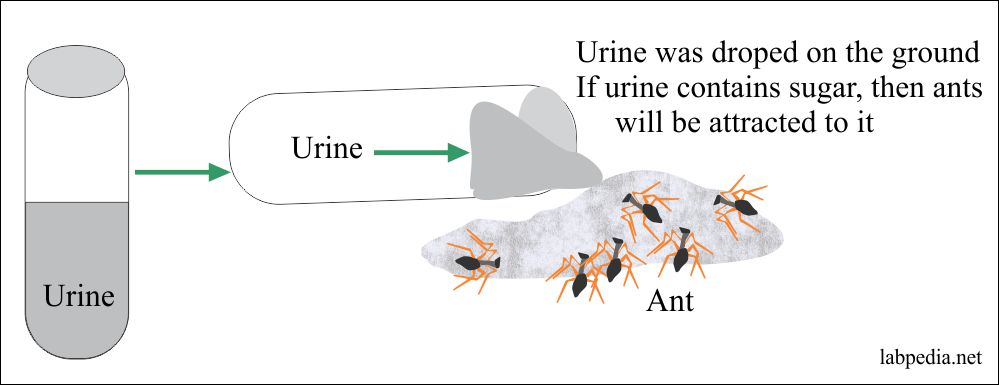 Urine history, Urine Composition, Normal Finding, Advantages of Urine Analysis