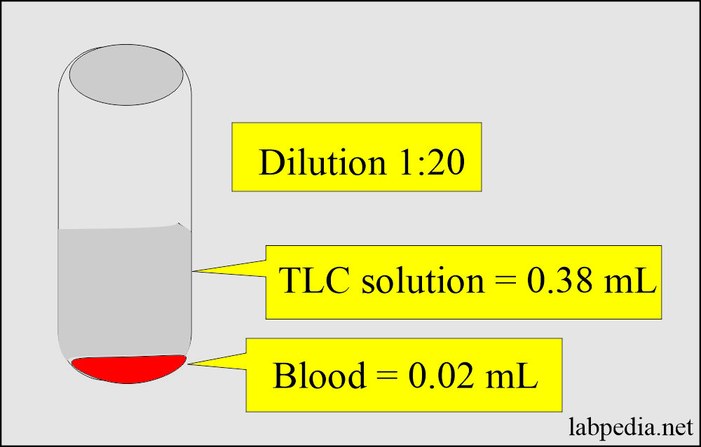 white blood cell - WBC count tube method