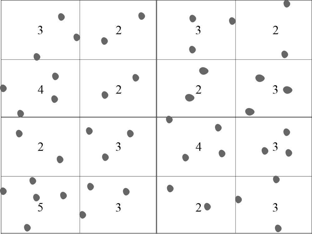 WBCs counted in one of the large square as a sample