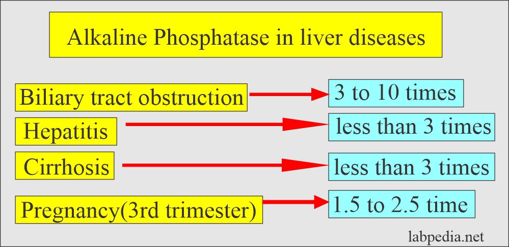 Alkaline phosphatase (ALP) in liver diseases