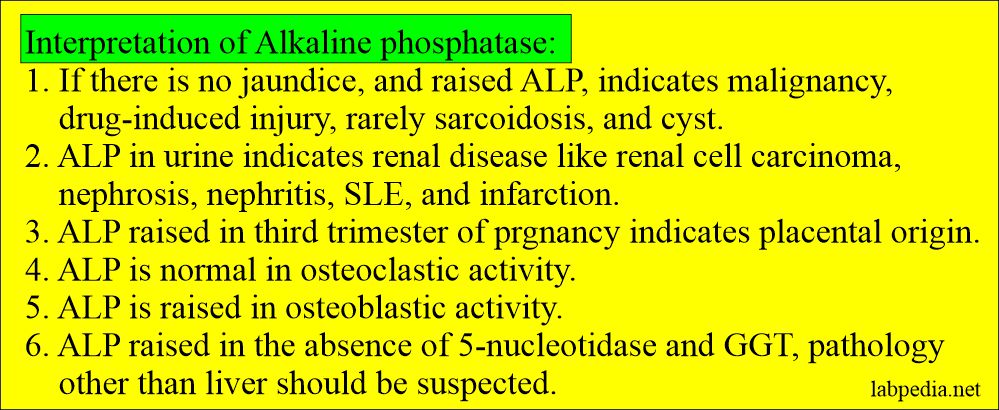 Alkaline phosphatase interpretations