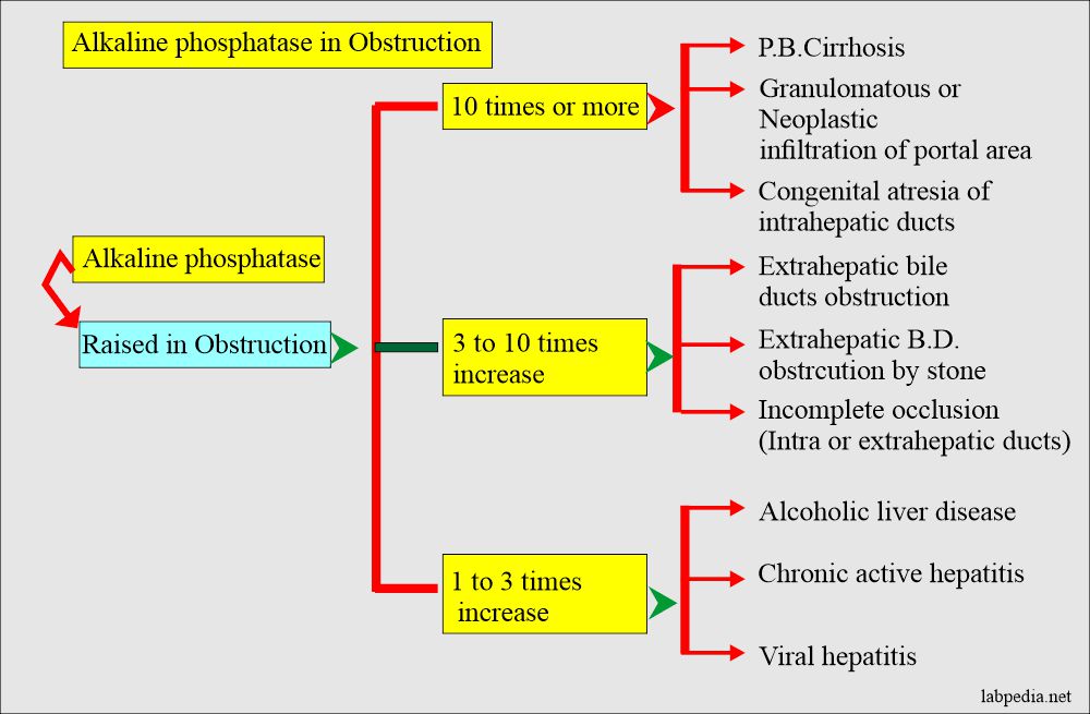 Alkaline phosphatase in obstruction , Differential diagnosis