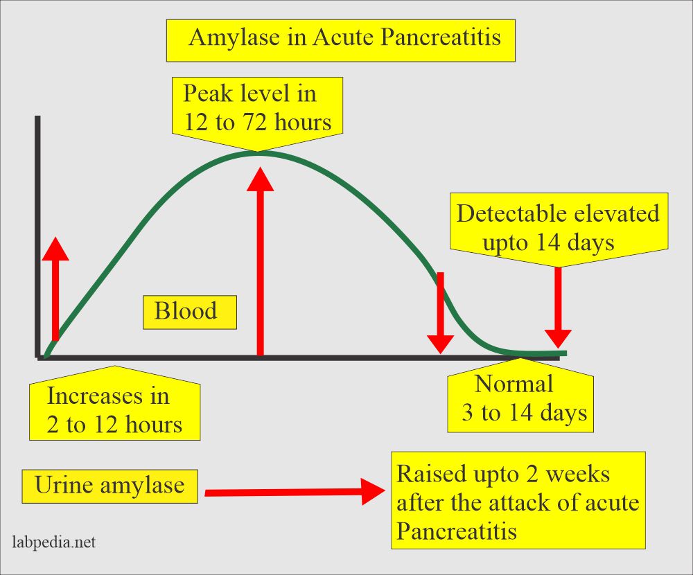 Amylase level in Acute pancreatitis 