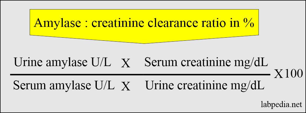 Amylase/ creatinine clearance ratio