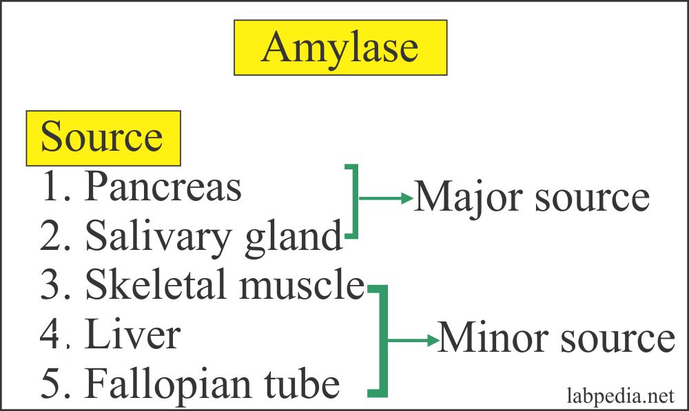 Amylase source