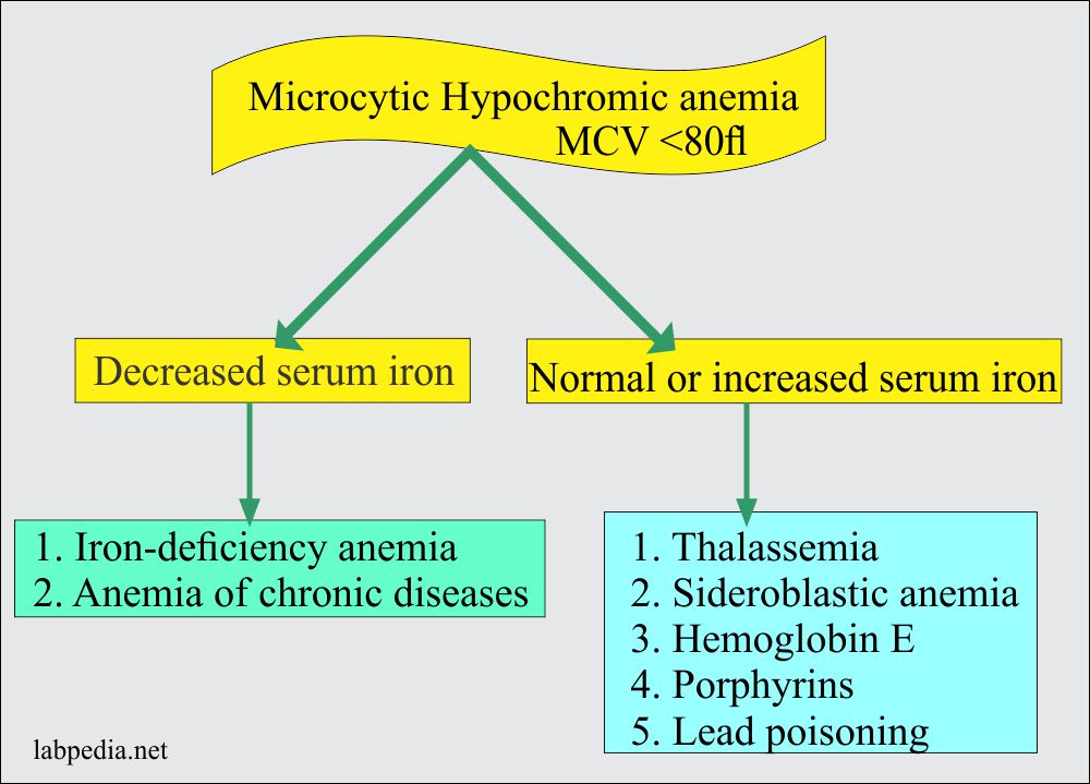 Causes of Iron Deficiency Anemia 