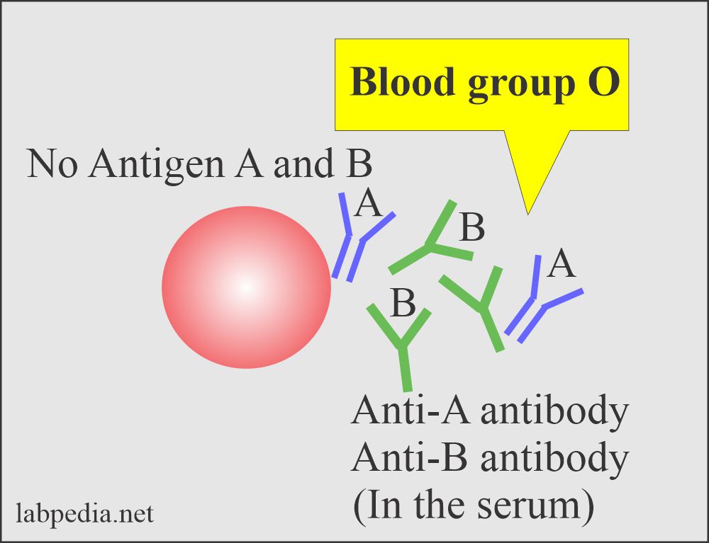 Blood group O