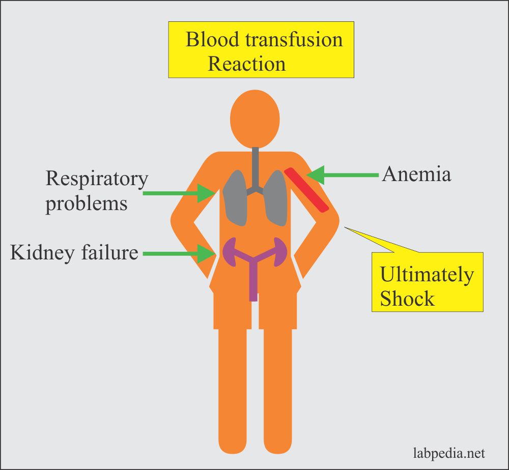 Blood transfusion reaction summary