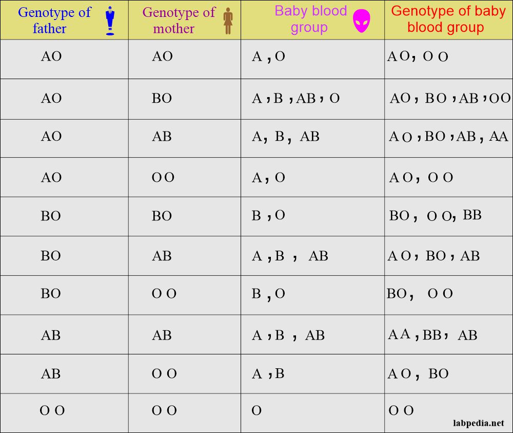 Genotype and phenotype of the baby blood groups