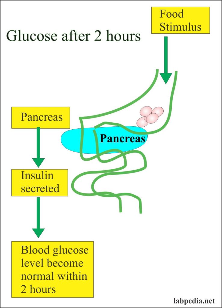 Diabetes Mellitus:- Part 8 – Diagnostic Criteria and Management, Microalbuminuria/creatinine ratio