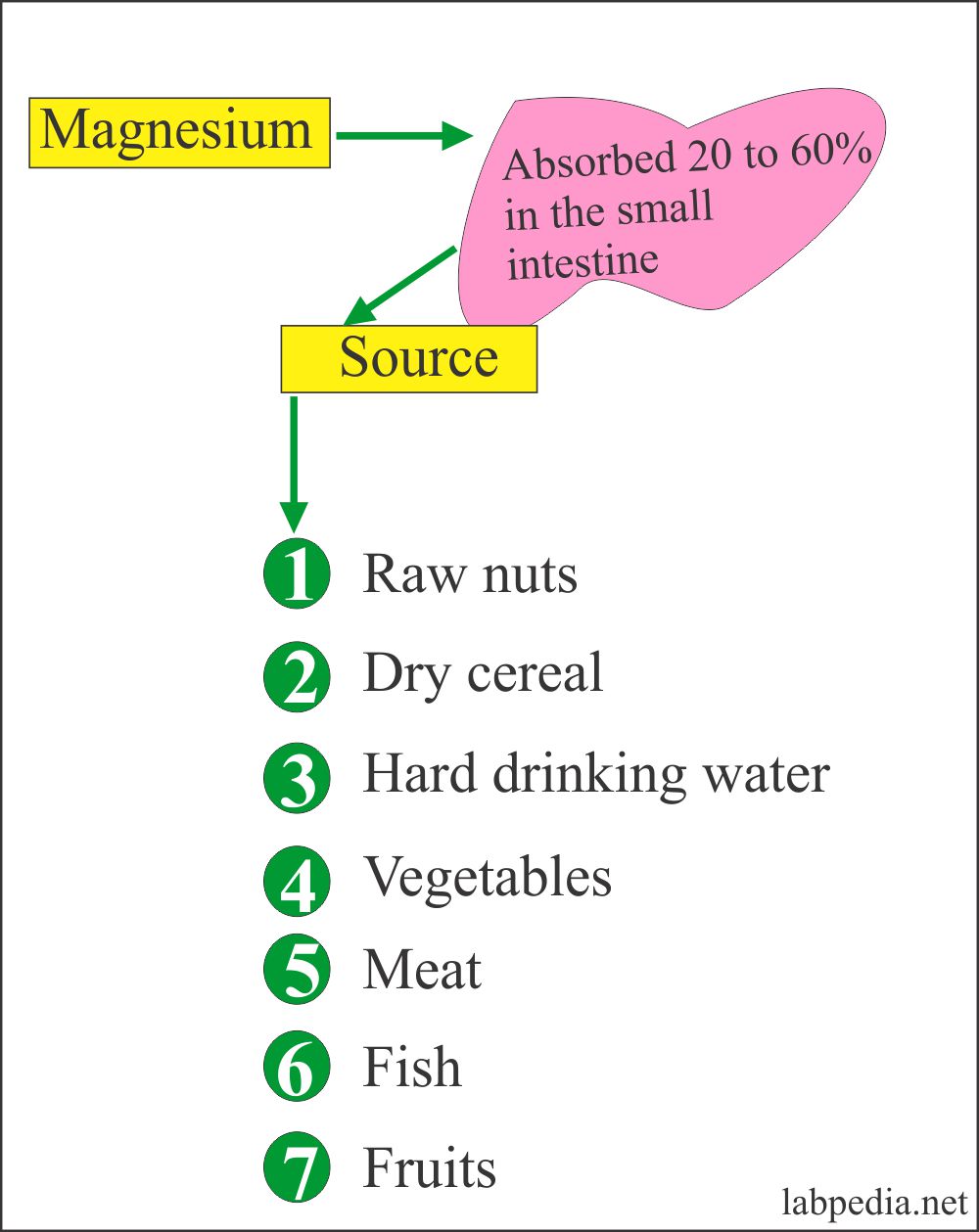 Magnesium level (Mg): Sources of Magnesium