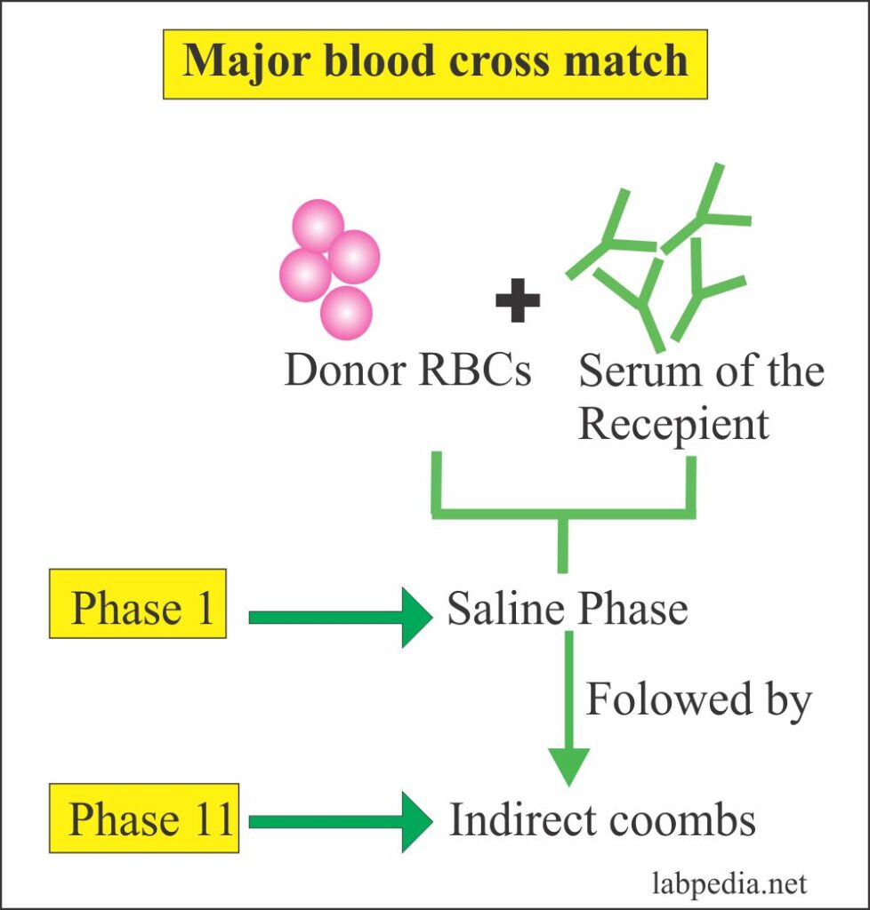 Blood banking part 2 Definition of blood banking, Donor selection