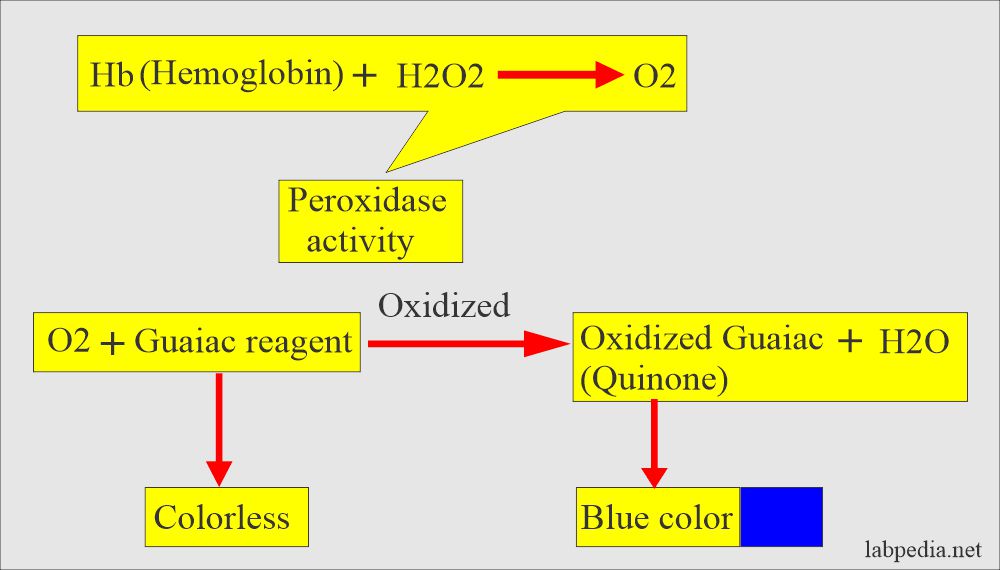 Principle of occult blood guaiac test