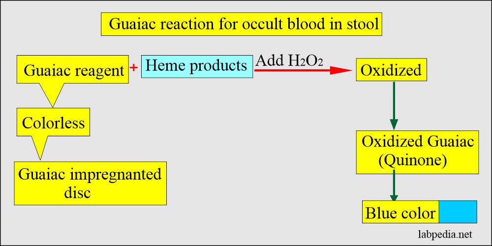 Occult blood guaiac reagent and the principle