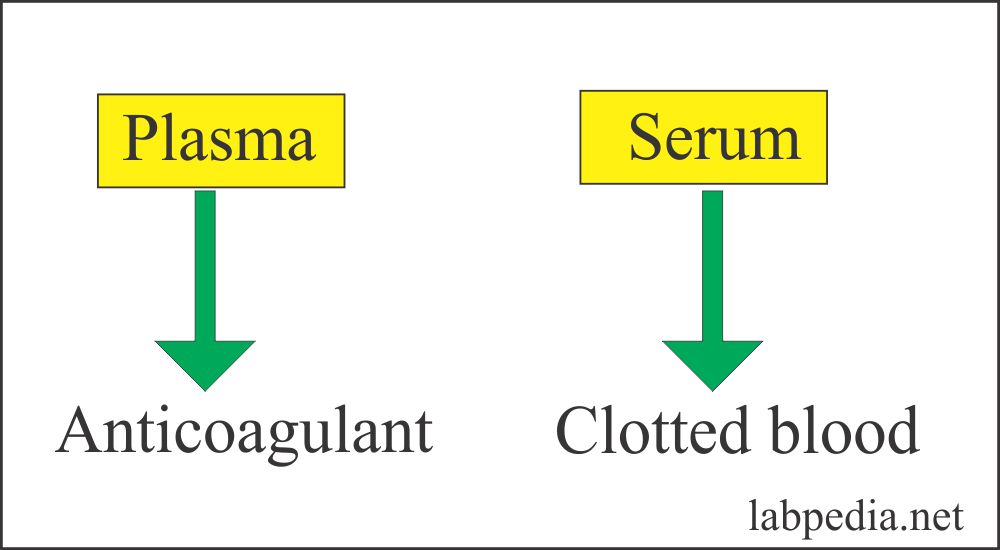 Blood Sample: – Part 4 – Plasma and Red Blood Cells Contents Difference