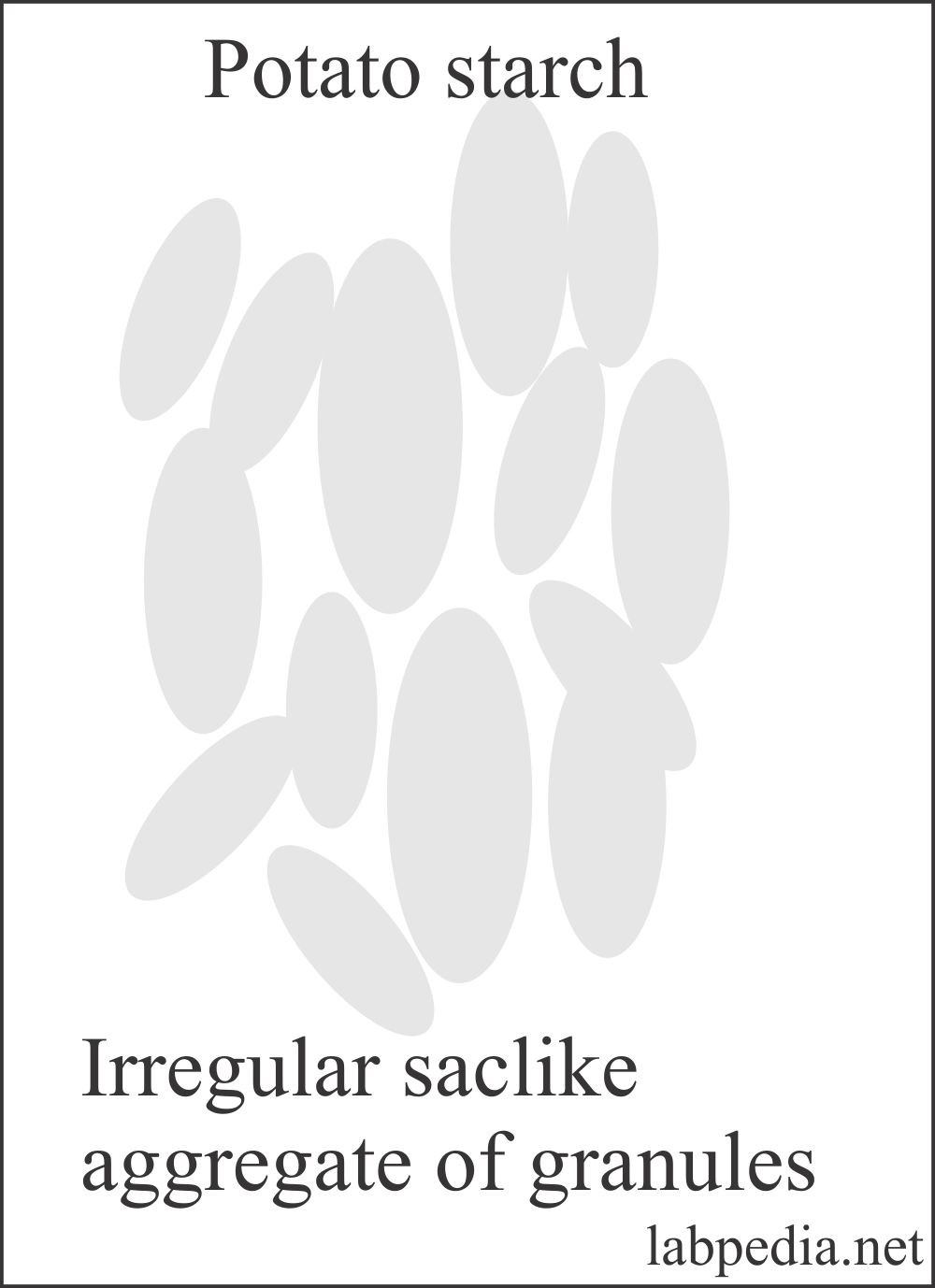 Stool Examination Part 1 Stool Analysis , Complete Stool studies
