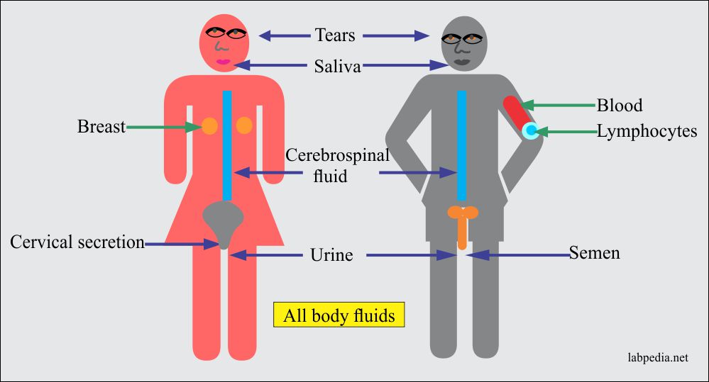Chapter 29 Acquired Immune Deficiency Syndrome (AIDS)