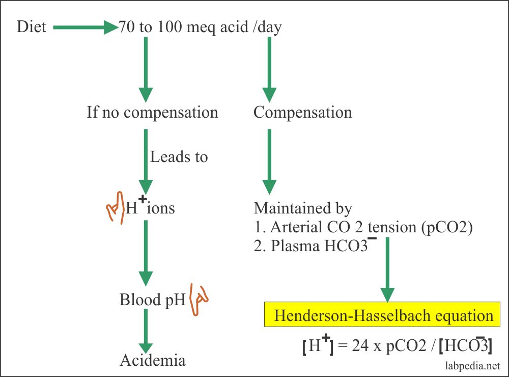 Acid base balance mechanism control