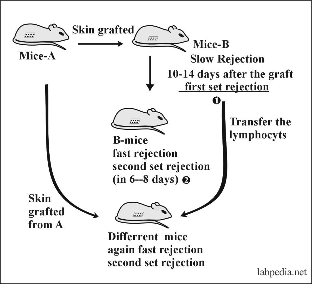 Fig 115: Rejection phenomenon