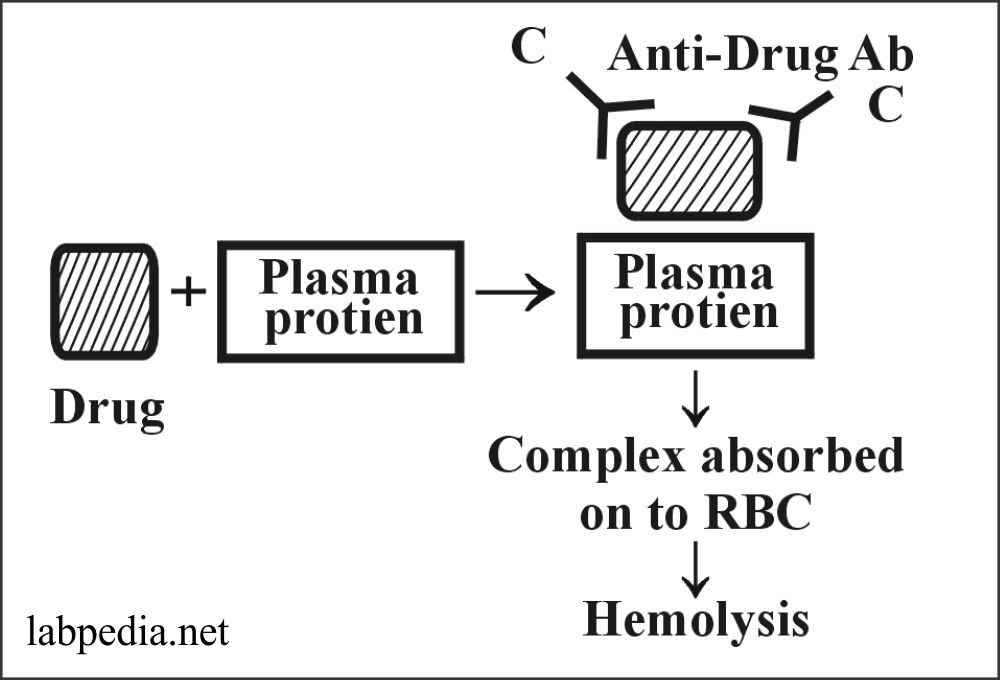 Fig 152: Drugs leading to hemolysis