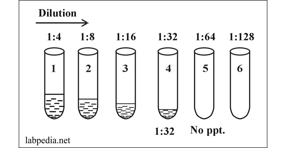 Chapter 30: Serological Tests and Its Basis