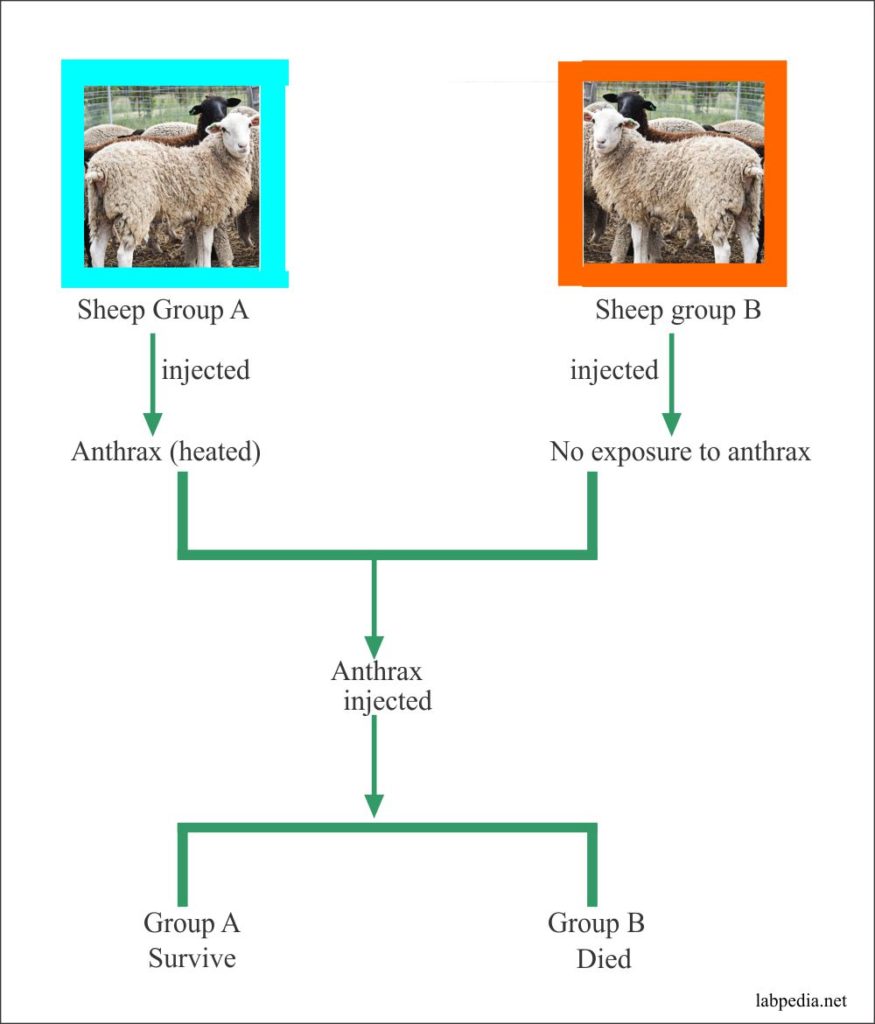 Chapter 1: Introduction of the Immunology and History