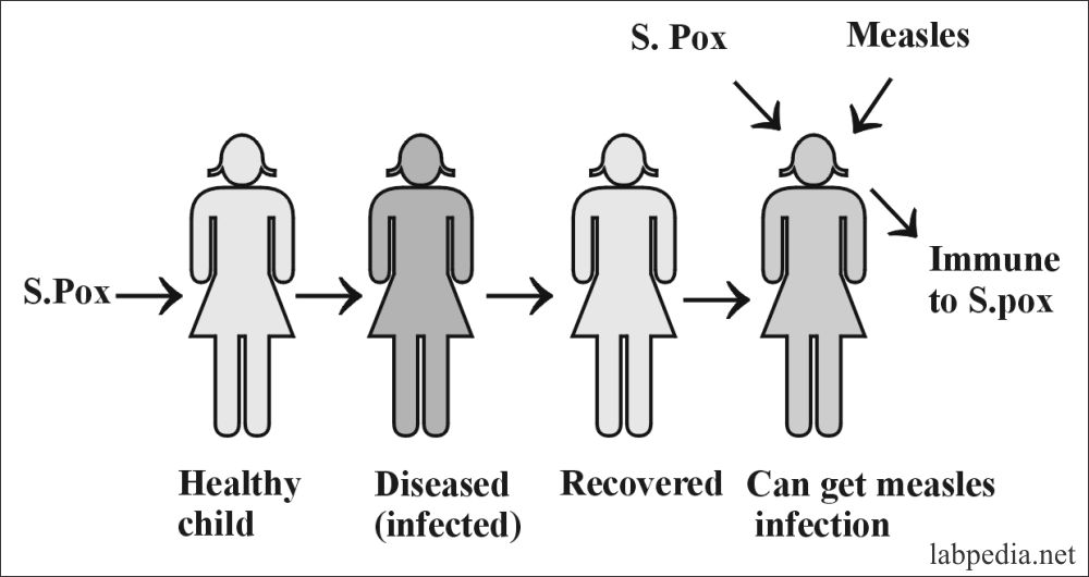 Recognition, specificity, and memory of the specific immunity