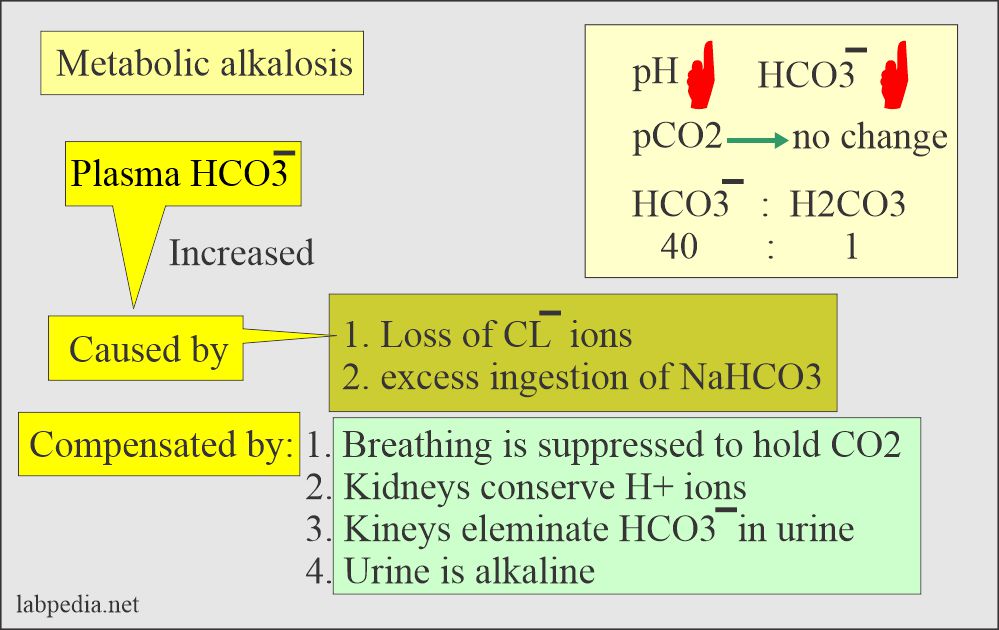 Changes in Metabolic alkalosis 