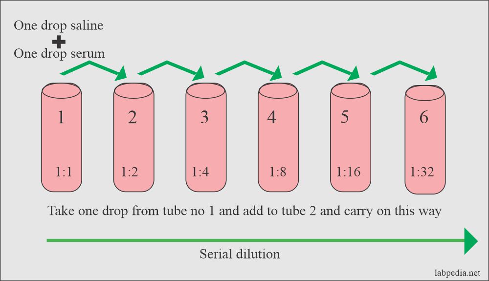 Serological Tests: Serial dilution