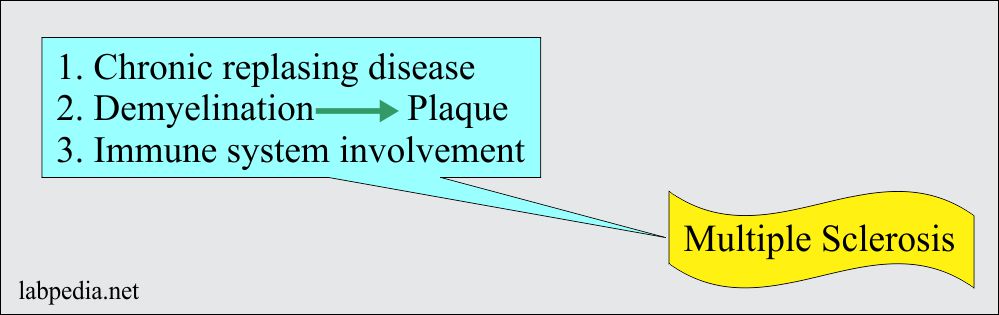 Chapter 26: Multiple Sclerosis (MS)