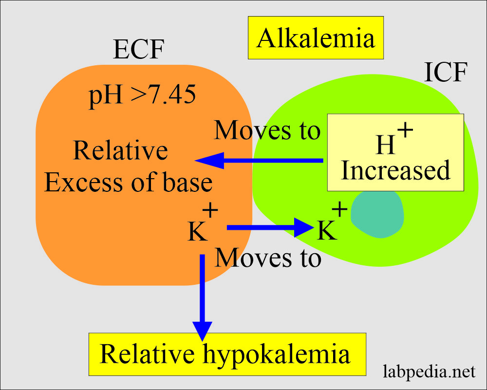 Acid-base imbalance and alkalemia