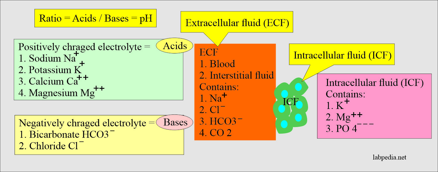 Acid-base balance definition and explanation